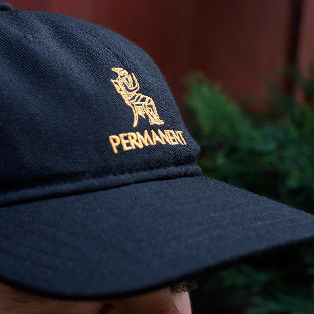 Permanent x Village Psychic 6 Panel Hat - Black